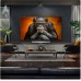 Телевізор LG OLED48G53LS
