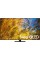 Телевізор Samsung QE65QN95D