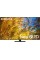 Телевізор Samsung QE65QN95D