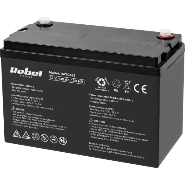 Акумулятор для ДБЖ/інвертора Rebel power 12V 100Ah (BAT0421)