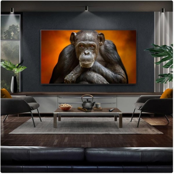 Телевізор LG OLED65G5