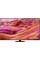 Телевізор Samsung QE55QN90F