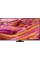 Телевізор Samsung QE98QN90F