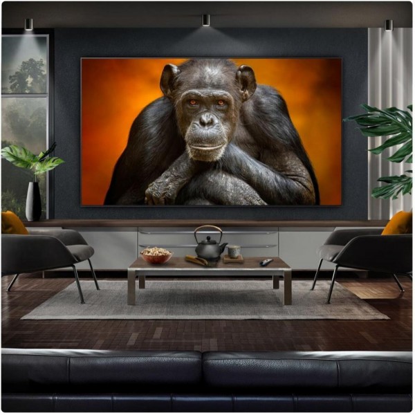 Телевізор LG OLED97G5